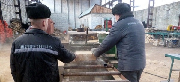 УФСИН назвала систематическими нарушения порядка Яшиным перед отправкой в ШИЗО