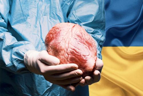 На Украине раскрыли «чёрных трансплантологов» — боевиков ВСУ лишают органов На Украине раскрыли «чёрных трансплантологов» — боевиков ВСУ лишают органов