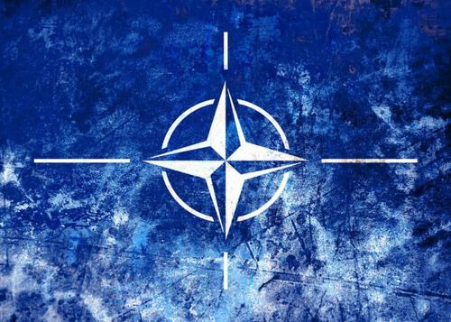 3 сентября в Латвии стартовали военные учения Namejs с участием сил НАТО 3 сентября в Латвии стартовали военные учения Namejs с участием сил НАТО