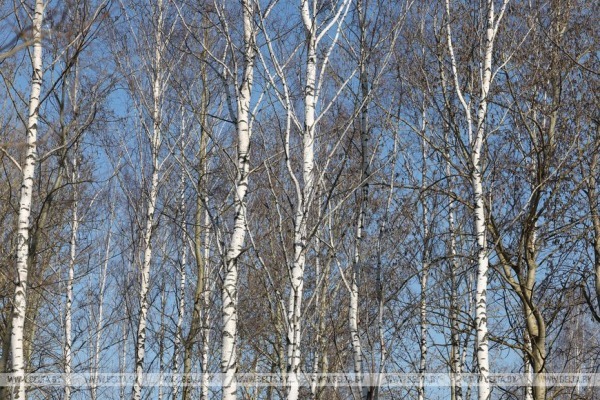 Весна на водохранилище Дрозды