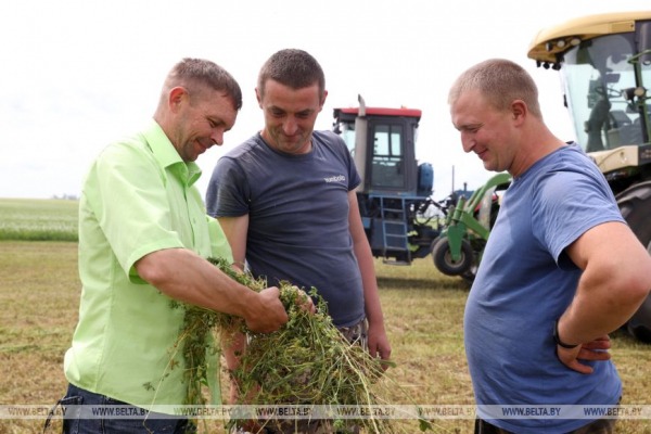 В Брестском районе активно идет укос трав для заготовки кормов