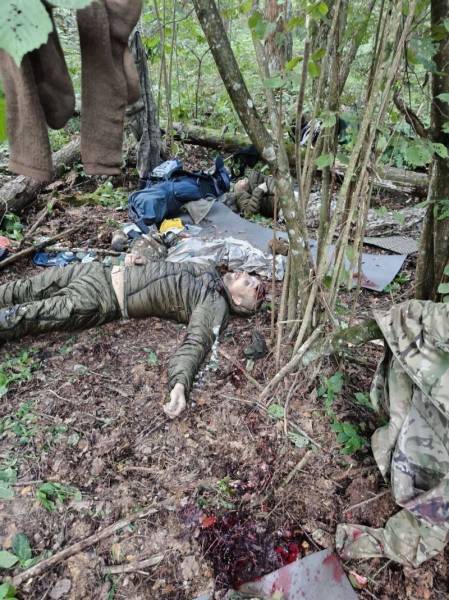 Специальная военная операция ВС РФ и события на Украине 20 августа, день
Специальная военная операция ВС РФ и события на Украине 20 августа, день