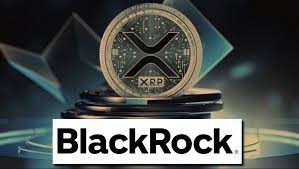 Стейблкоин Ripple дебютирует на платформе токенизации, поддерживаемой BlackRock Стейблкоин Ripple дебютирует на платформе токенизации, поддерживаемой BlackRock