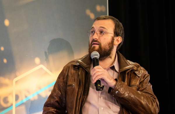 Биткоин обвалился до 90 тысяч долларов. Почему крупные инвесторы не переживают из-за просадки рынка крипты? Биткоин обвалился до 90 тысяч долларов. Почему крупные инвесторы не переживают из-за просадки рынка крипты?
