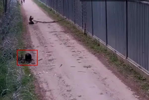 ВИДЕО: Поляки в ярости из-за убитого пограничника. «Выдайте нам убийцу», — требуют они от Беларуси
ВИДЕО: Поляки в ярости из-за убитого пограничника. «Выдайте нам убийцу», — требуют они от Беларуси