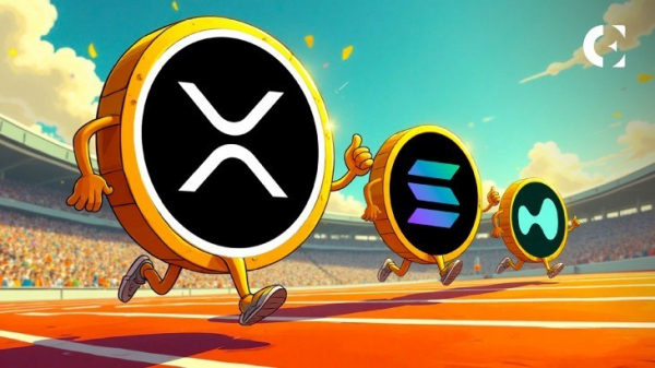 Киты делают ставку на XRP, SOL, HYPE: настоящий сезон альткоинов наконец-то наступил? Киты делают ставку на XRP, SOL, HYPE: настоящий сезон альткоинов наконец-то наступил?