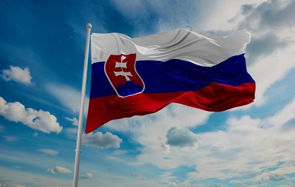Беспощадному убийце из Словакии предъявлено обвинение в службе в российской армии
Беспощадному убийце из Словакии предъявлено обвинение в службе в российской армии